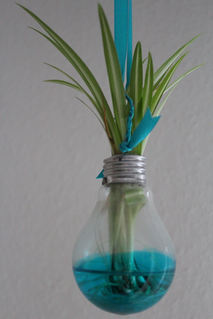 Recycled bulb turned into vase