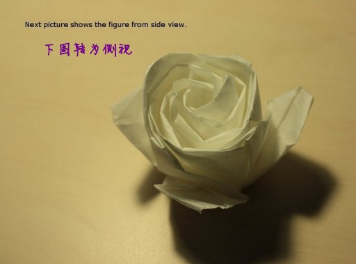 所以一些简单的纸玫瑰花的简易折法图解更加受到大家的欢迎和支持